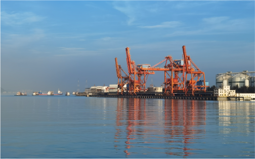 J9集团口服务有限公司